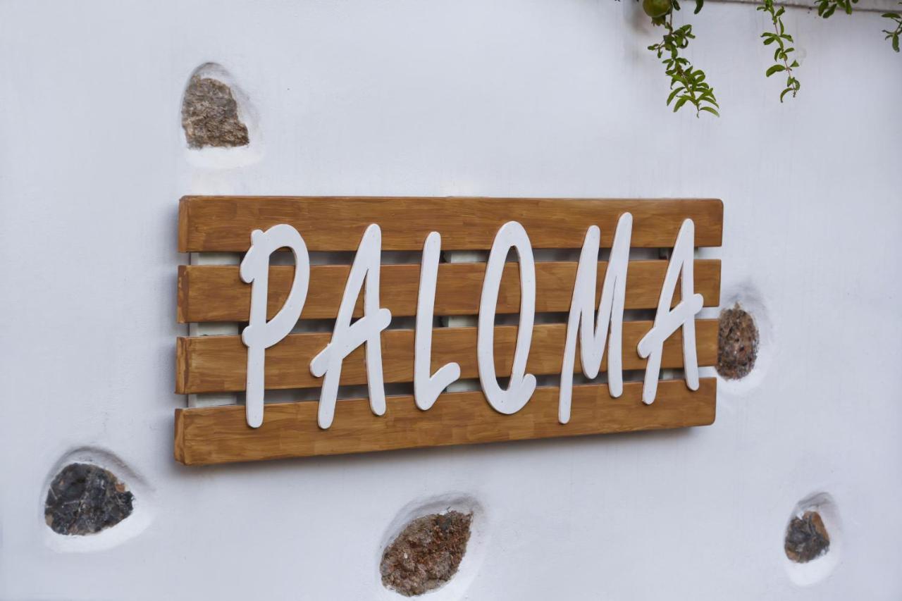 Paloma Luxury Studios Panormos  Екстер'єр фото